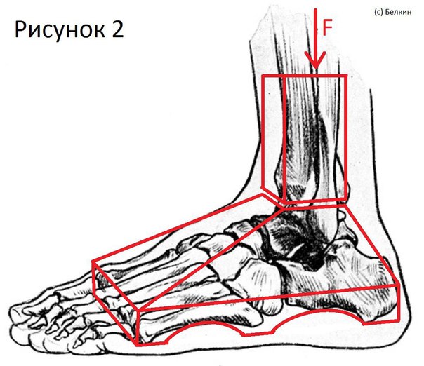 "Точка" опоры в приседаниях со штангой. "Точка" опоры в приседаниях со 1 "Точка" опоры в приседаниях со штангой. "Точка" опоры в приседаниях со 1