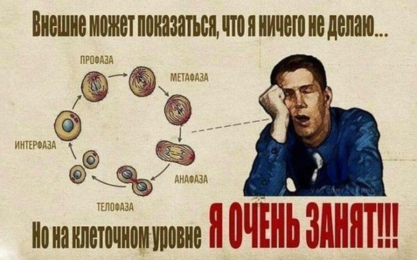 9 отмазок лентяев