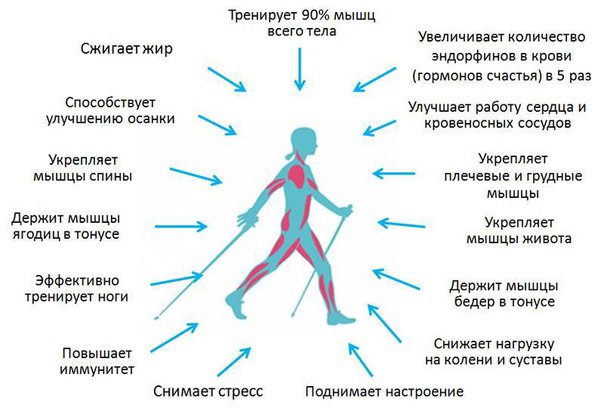 Скандинавская ходьба