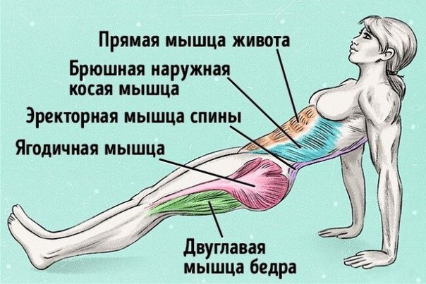 Обратная планка. Обратная планка 1 Обратная планка. Обратная планка 1
