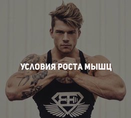 Условия роста мыщц