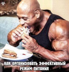 Как организовать эффективный режим питания