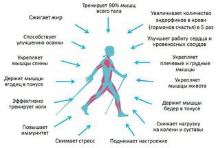 Скандинавская ходьба