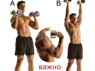 Как сделать мощные мускулистые плечи
